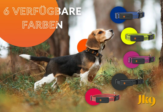 GPS Tracker für Hunde - Weenect XT mit Halsband