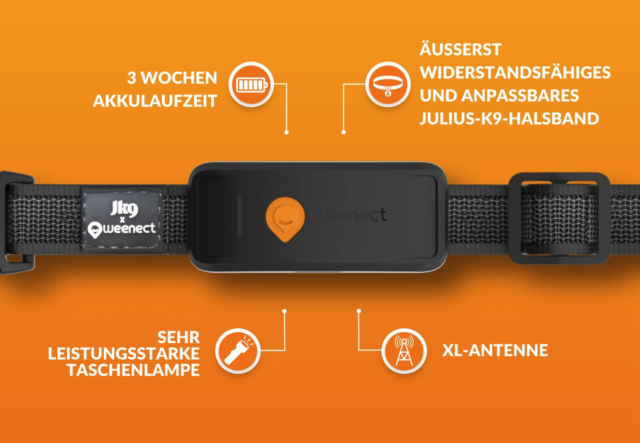 GPS Tracker für Hunde - Weenect XT