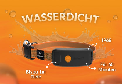 GPS Tracker für Hunde - Weenect XT
