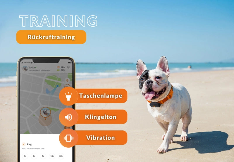 GPS Tracker für Hunde - Weenect XS -| Mini GPS